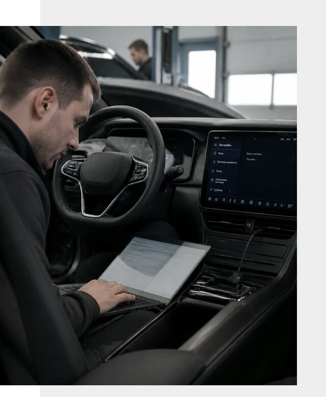 Русификация автомобилей BYD под ключ для всех моделей в Александрове